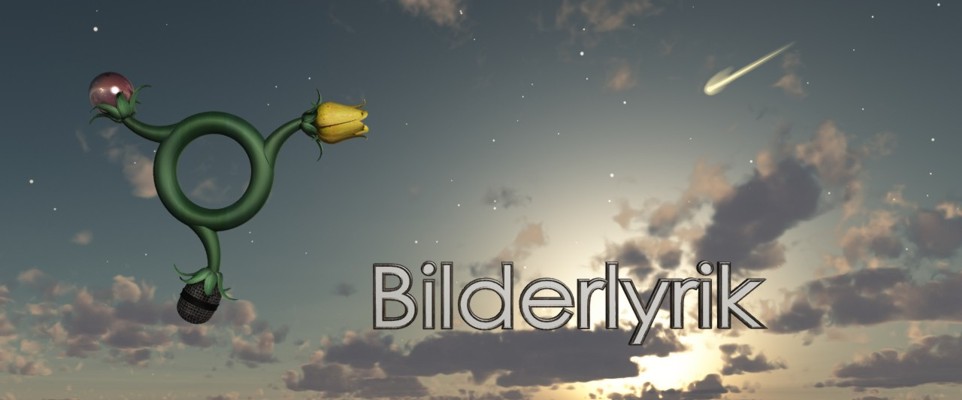 Bilderlyrik_Logo+Breit